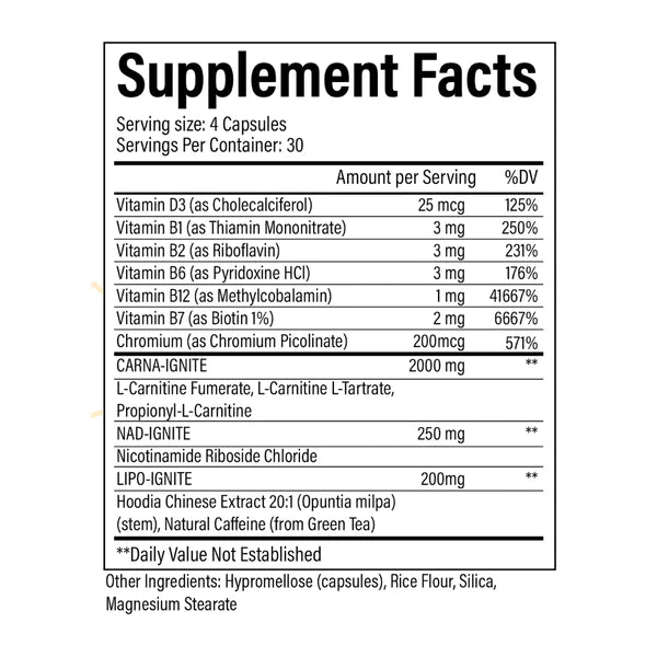 CarnaBurn GLP-1 Weightloss Support