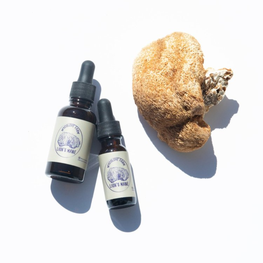 Lion's Mane Mushroom Extract
