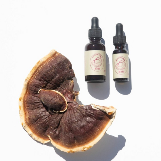 Reishi Mushroom Extract