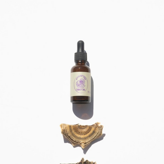 Turkey Tail Mushroom Extract