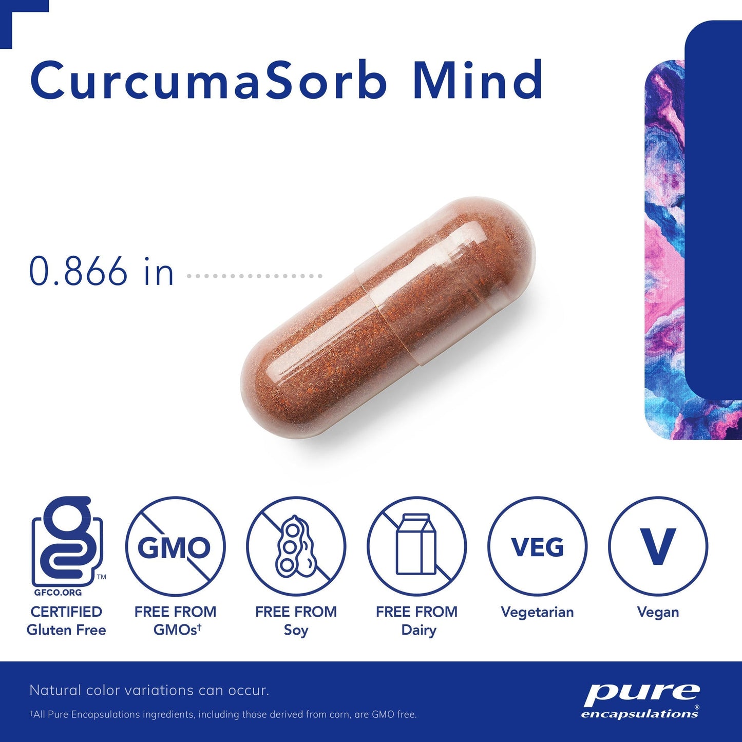 CurcumaSorb Mind